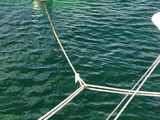 how to bring a catamaran to a mooring balling using the engine