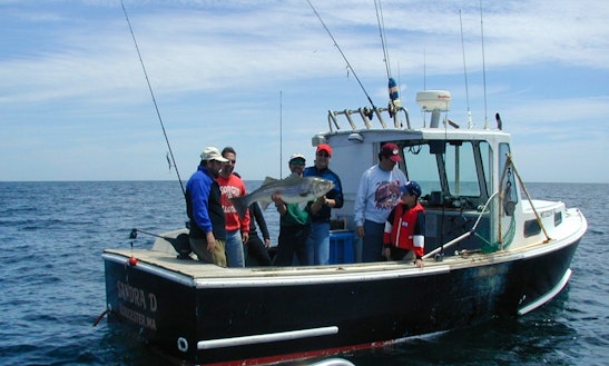 22ft Sportfisherman Boat Charter In Manchester-by-the-sea, Massachusetts