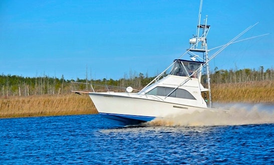 Fishing Charter On 38ft