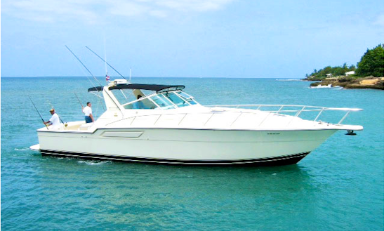 44ft