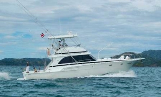 Predator 26' Feet Shamrock Express Sport Fisherman Charter In Jaco