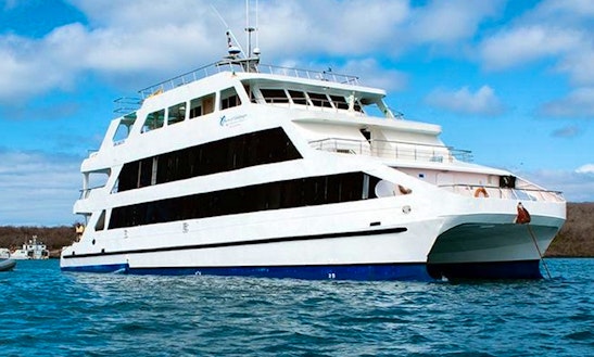 90' Power Catamaran