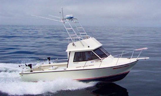 30ft Motor Yacht Fishing Charter With Captain Jimmy In San Francisco, California