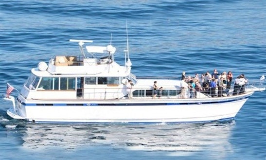 fishing boat rentals dana point boat rentals in dana point fishing boat rentals dana point boat rentals in dana point