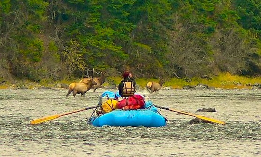 River Rafting on the Grande Ronde River in Oregon | GetMyBoat