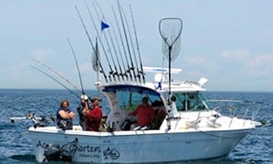 fishing boat rental gun lake 40 sport fisherman quot top gun quot fishing charter in oswego fishing boat rental gun lake 40 sport fisherman quot top gun quot fishing charter in oswego