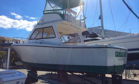 Fishing Charter On 36ft