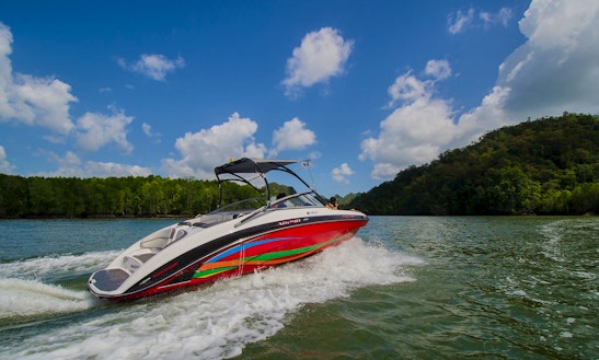 Sea Vulture Activities At Deck Boat In Jalan Persiaran Putra, Malaysia