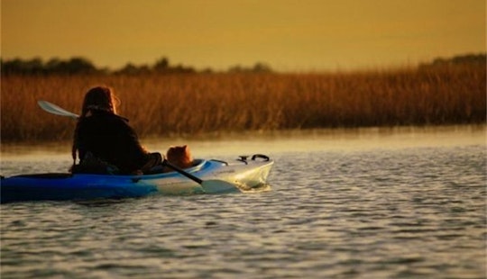 savannah boat rental the 10 best savannah georgia boat rentals w photos savannah boat rental the 10 best savannah georgia boat rentals w photos
