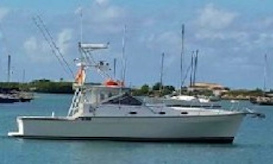 38ft ''the Party Hooker'' Luxury Sport Fisherman Boat Charter In Saint Michael, Barbados