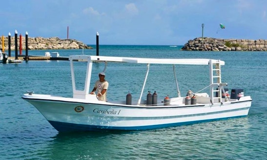 29' Passenger Boat