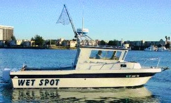 Come With Fish With Us On