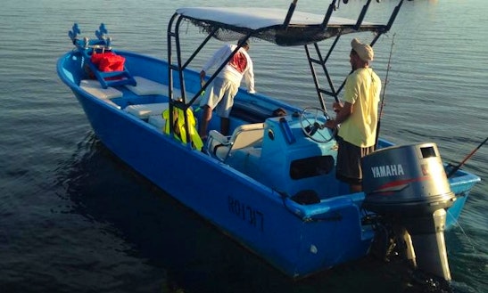 Snorkeling And Diving Tour In Sandy Bay, Honduras