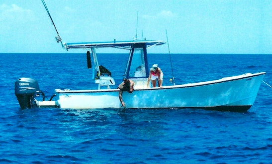 Blackjack sailboat trips