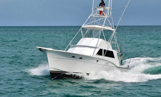Enjoy 45' Sport Fishing Trips On The