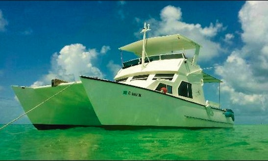 Cat S Paw Boat Rentals Cat S Paw Boat Rentals