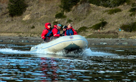 Rib Charter In Punta Arenas, Chile