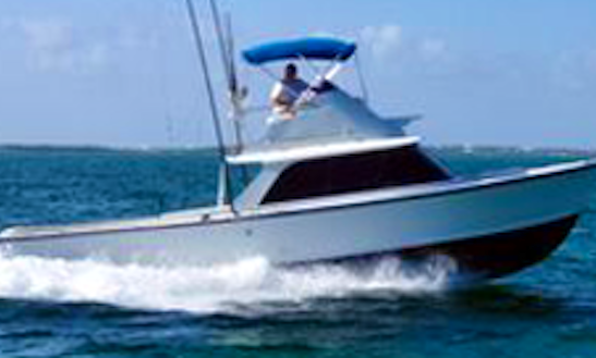 Fishing Charter On 31ft Bertram Sport Fisherman Yacht With Captain Ira