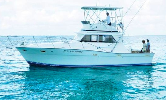 35' Sport Fisherman