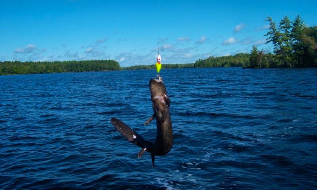 charter boat fishing wisconsin jon boat fishing charter in eagle river wisconsin getmyboat charter boat fishing wisconsin jon boat fishing charter in eagle river wisconsin getmyboat