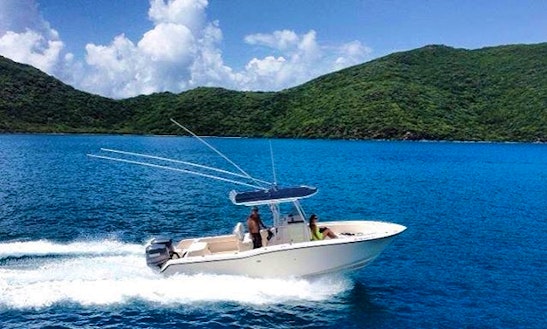 Fishing Charter On 24' Grady White Center Console In San Juan, Puerto Rico