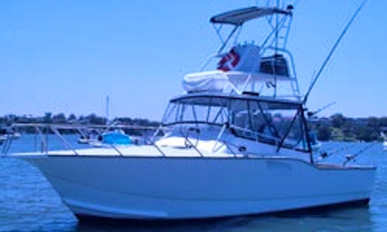 Go Fishing With 40' Fishing Yacht For 14 People In North Arm Cove, Australia