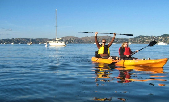 Sausalito Kayak Tours Sausalito Kayak Tours