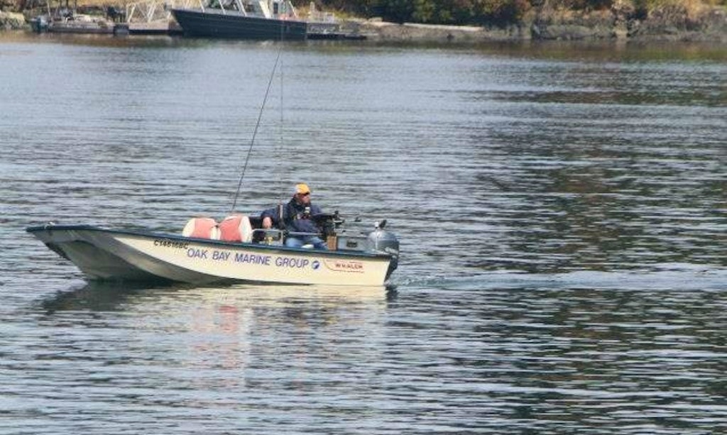 20' Boston Whaler Salmon Fishing Charter in Canada GetMyBoat