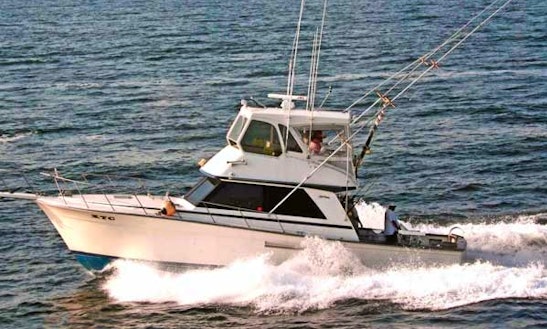 boat rentals point pleasant new jersey 60ft quot blue runner quot motor yacht rental in point pleasant boat rentals point pleasant new jersey 60ft quot blue runner quot motor yacht rental in point pleasant