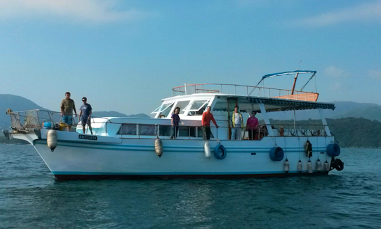 Unforgettable Diving Trips In Wan Chai, Hong Kong On