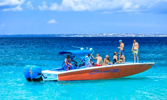 Awesome Speedboat Excursion And Beach Tour In Simpson Bay, Sint Maarten