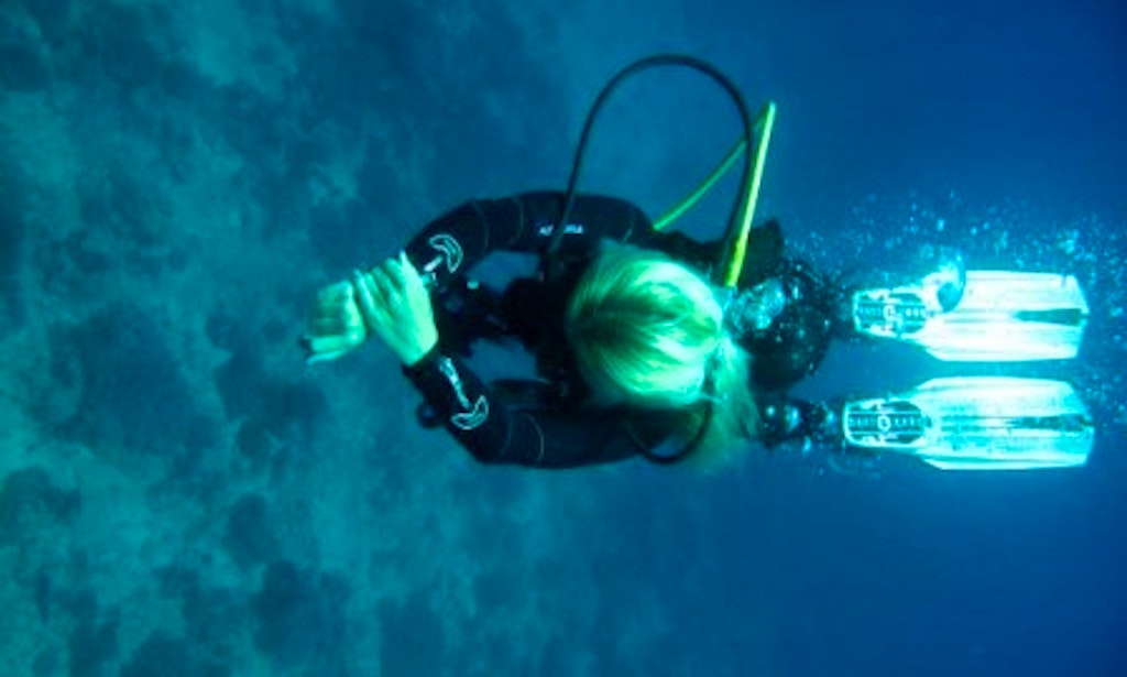 Scuba Newport Beach The Best Beaches In World Scuba Diving In Diani Beach Getmyboat