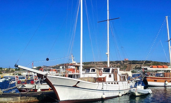 paddle boat rentals ta 82 sailing gulet quot melina quot in malta getmyboat paddle boat rentals ta 82 sailing gulet quot melina quot in malta getmyboat
