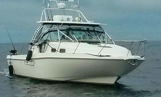 Guided Fishing Trips And Accommodation On Nootka Island