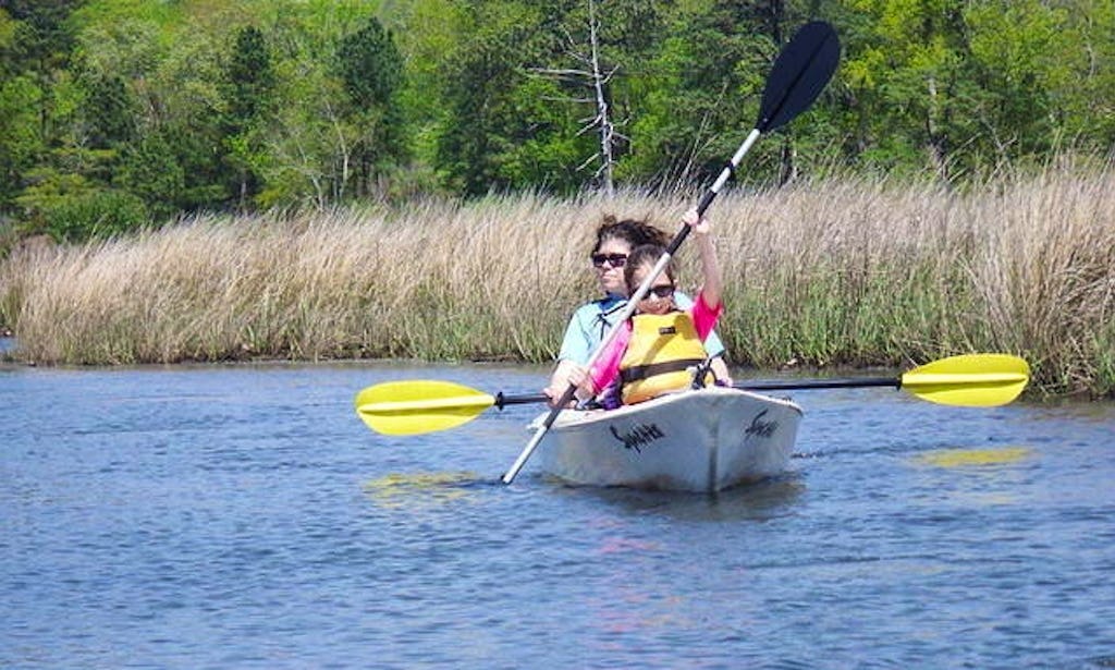 Kayaking Dophin Trips In Virginia Beach More Images