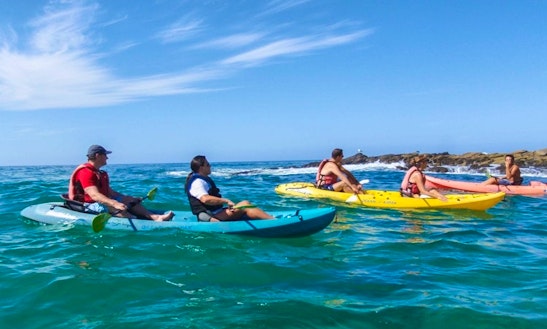 Home | Action Sport Rentals Kayak Rental in Dana Point, California | GetMyBoat