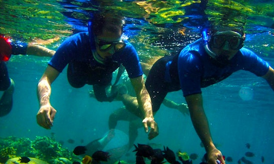 Snorkeling Tours In The Coral Rich Dive Sites In Bentota, Sri Lanka