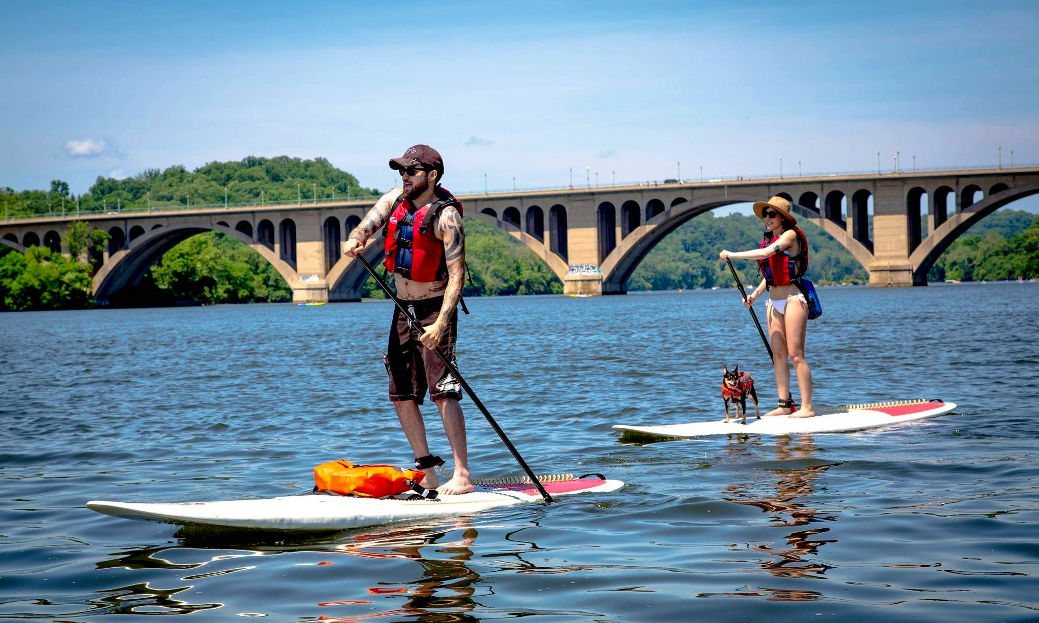 Stand Up Paddleboards >> Stand Up Paddleboarding In Alexandria Getmyboat Stand Up Paddleboards >> Stand Up Paddleboarding In Alexandria Getmyboat
