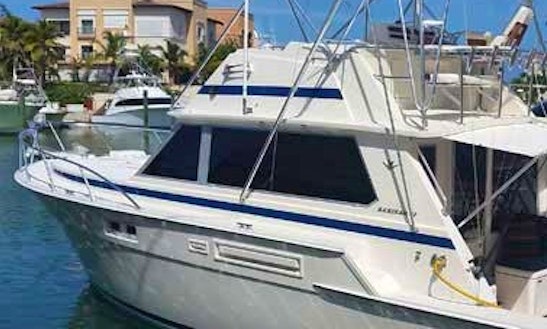 Fishing Charter On 42ft