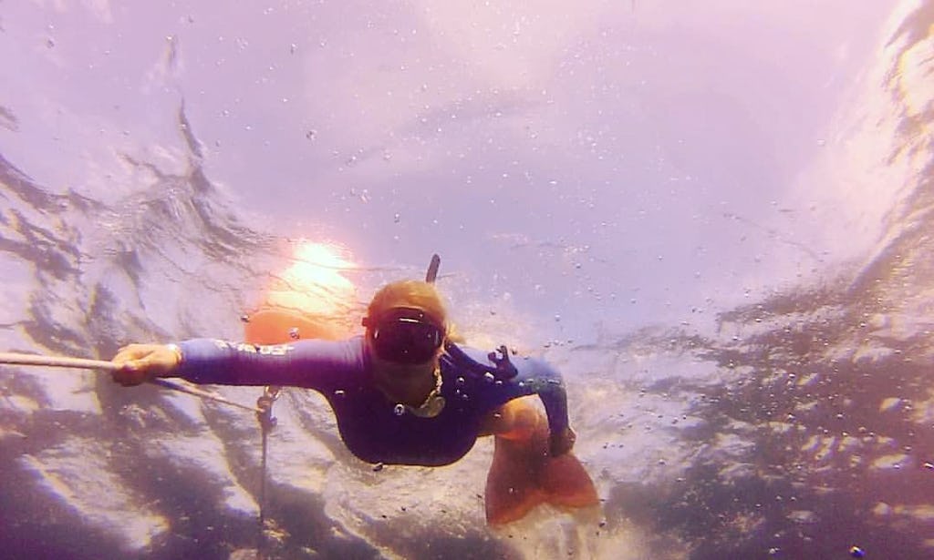 Greater Fort Lauderdale Snorkeling Trip Aboard Glbottom Catamaran