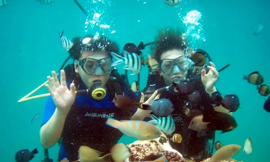Enjoy Diving Trips And Courses At Nusa Dua In Denpasar, Bali