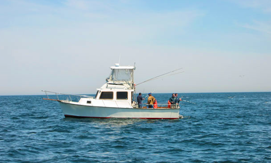 Charter On 34ft Islander Sportfisherman Boat With Captain Bob In Rockport, Massachusetts