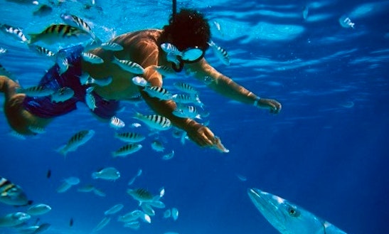 Snorkeling Excursions In Cenotes And Ocean Playa Del Carmen, Mexico