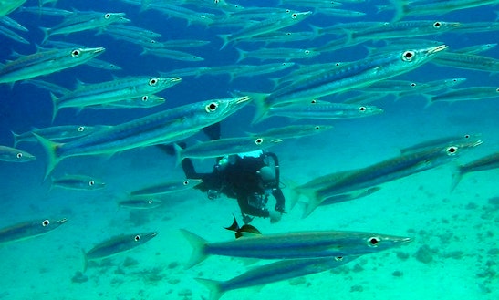 Enjoy Diving Courses & Trips In Tambon Chalong, Phuket
