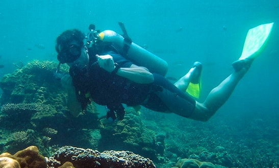 Fun Diving Trips And Scuba Diving Courses On Tioman Island, Malaysia