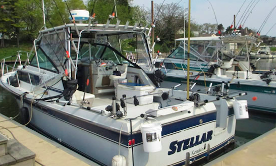 Fishing Charter 32ft