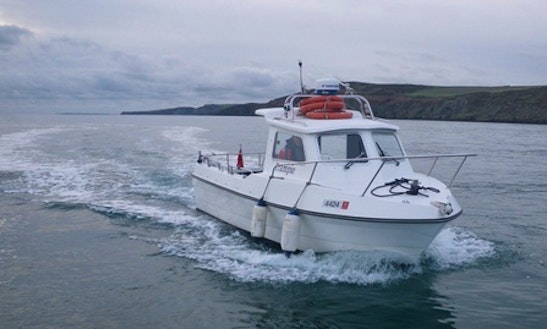 Enjoy Fishing In North Quay, Australia On 23' Trampie Cuddy Cabin