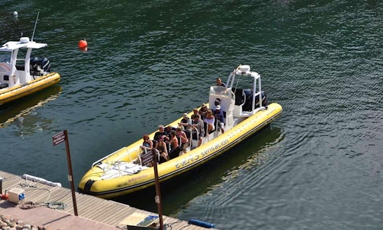 Rent A Rigid Inflatable Boat In Calcatoggio, France For Up To 12 People