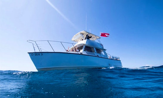 Diving Trip On 42ft