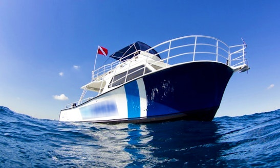 Boat Diving Charter On 46ft 'sea Siren' Trawler In Pompano Beach, Florida